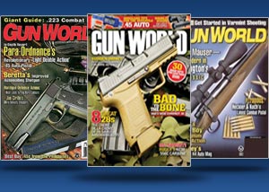 Gun World