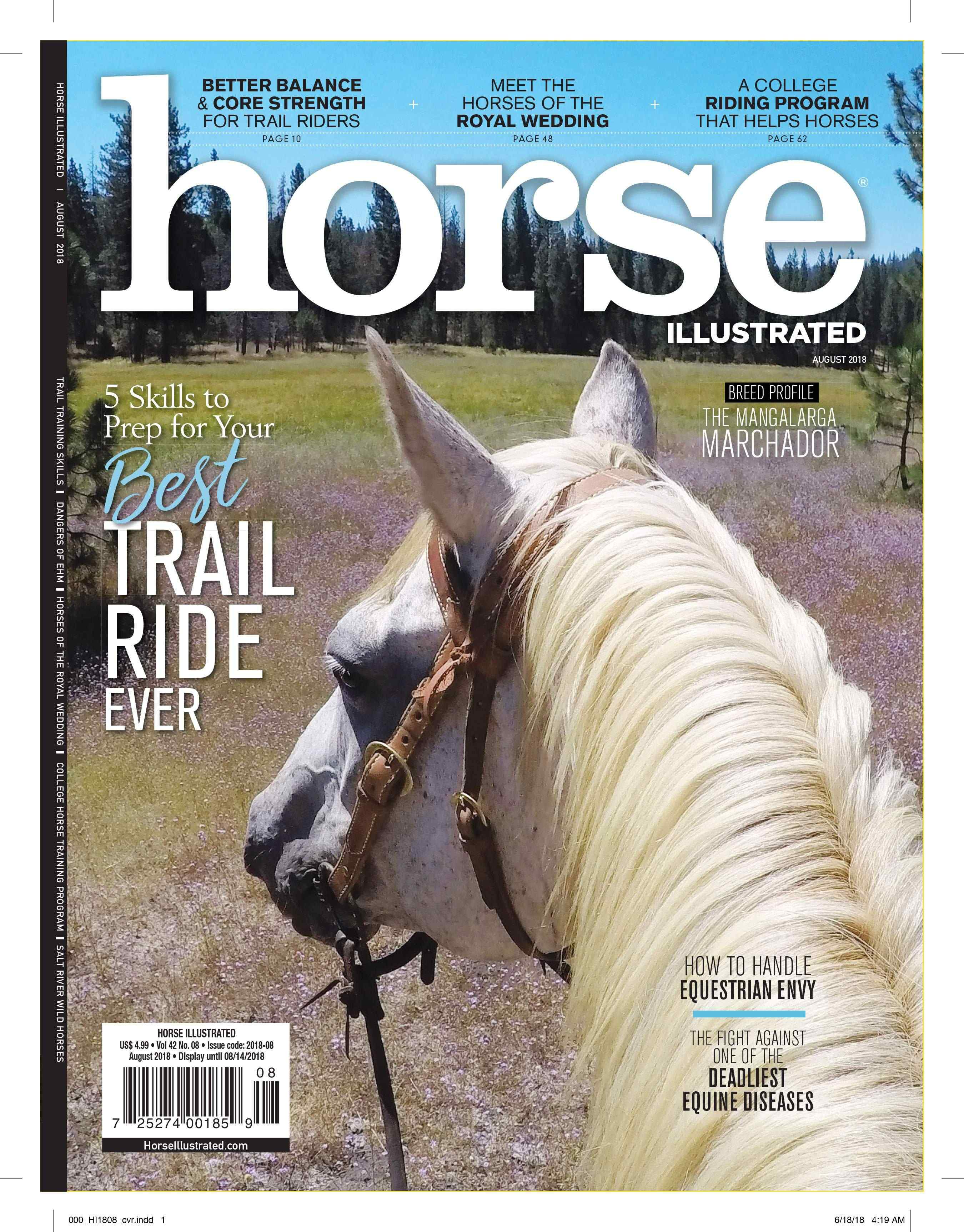 Horse Illustrated Horse Illustrated