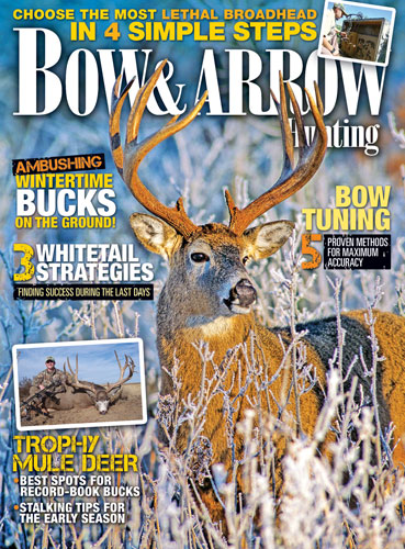 Bow and Arrow Hunting