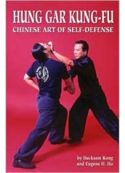 Hung Gar Kung Fu