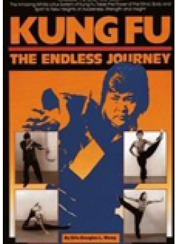 Kung-Fu: The Endless Journey