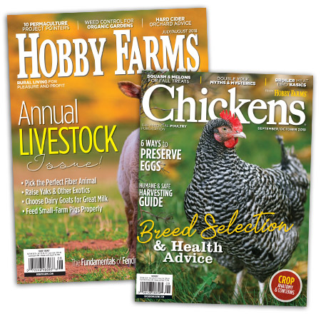 Chickens + Hobby Farms Chickens + Hobby Farms